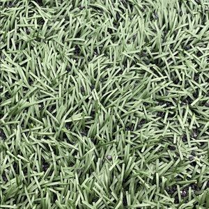 Meet your Posher, Delaney